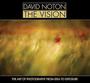 The Vision - The Art of Photography from Idea to Exposure by David Noton