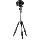 Benro MeFoto Backpacker Tripod, Aluminium
