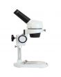Saxon ScienceSmart Stereo Microscope 20x